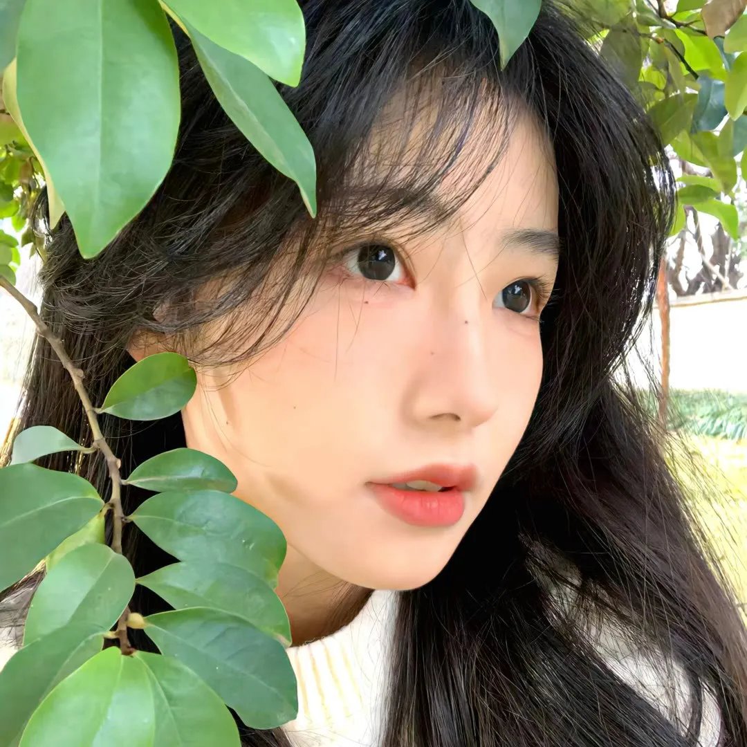 小路之歌